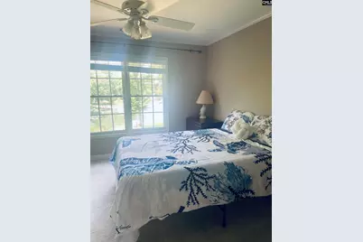 417 Highwater Court, Chapin, SC 29036 - Photo 22