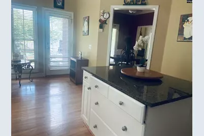 417 Highwater Court, Chapin, SC 29036 - Photo 4