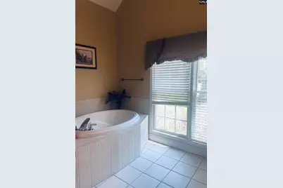 417 Highwater Court, Chapin, SC 29036 - Photo 26