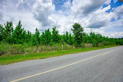 00 Catalina Boulevard, Sandy Run, SC 29160 - Photo 2