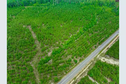 00 Catalina Boulevard, Sandy Run, SC 29160 - Photo 12