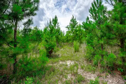 00 Catalina Boulevard, Sandy Run, SC 29160 - Photo 4