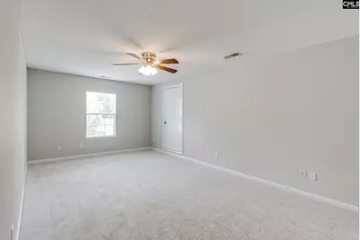 5 Redbrush Court, Chapin, SC 29036 - Photo 34