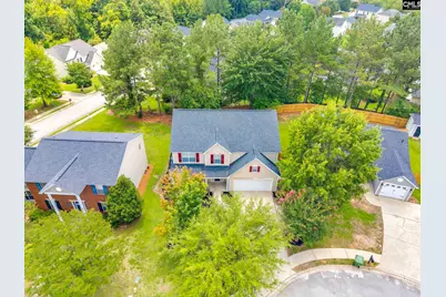 5 Redbrush Court, Chapin, SC 29036 - Photo 56