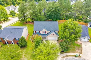 5 Redbrush Ct, Chapin, SC 29036 - Photo 56