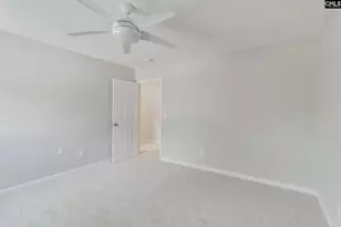 5 Redbrush Ct, Chapin, SC 29036 - Photo 38