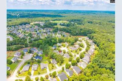 5 Redbrush Court, Chapin, SC 29036 - Photo 60