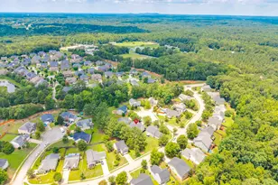 5 Redbrush Ct, Chapin, SC 29036 - Photo 60
