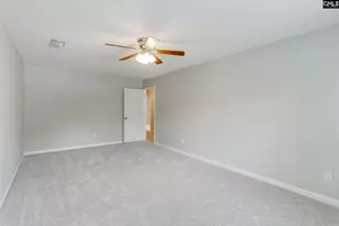 5 Redbrush Ct, Chapin, SC 29036 - Photo 36