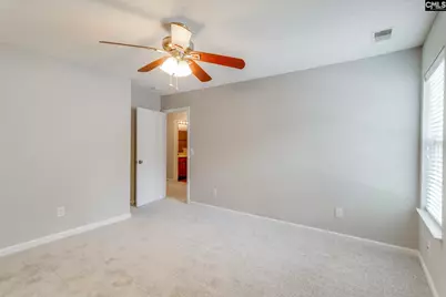 5 Redbrush Court, Chapin, SC 29036 - Photo 26