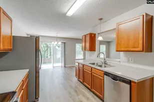 5 Redbrush Ct, Chapin, SC 29036 - Photo 14