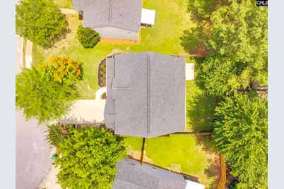 5 Redbrush Court, Chapin, SC 29036 - Photo 58