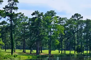 1341 Davenport Dr, Manning, SC 29102 - Photo 40