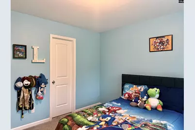 263 Cassique Drive, Lexington, SC 29073 - Photo 24
