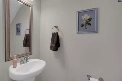 263 Cassique Drive, Lexington, SC 29073 - Photo 22