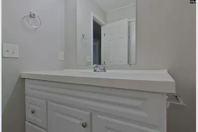 237 Trinity Three Road, Irmo, SC 29063 - Photo 14