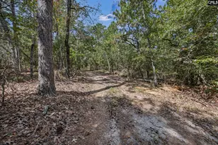 121 Coral Ct, Lexington, SC 29073 - Photo 32
