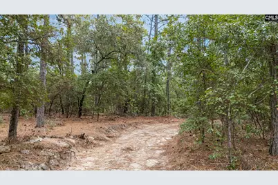121 Coral Court, Lexington, SC 29073 - Photo 34