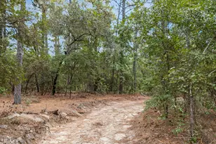 121 Coral Ct, Lexington, SC 29073 - Photo 34