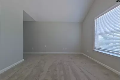 134 Summer Pines Drive, Blythewood, SC 29016 - Photo 8