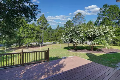 616 Coldridge Court, Lexington, SC 29073 - Photo 20