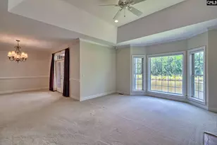 119 Lake Hilton Dr, Chapin, SC 29036 - Photo 8