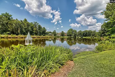 119 Lake Hilton Drive, Chapin, SC 29036 - Photo 36