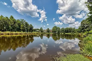 119 Lake Hilton Dr, Chapin, SC 29036 - Photo 4