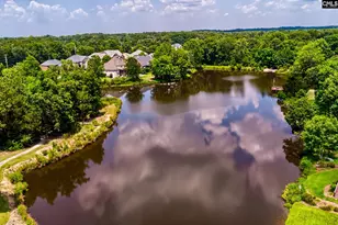 119 Lake Hilton Dr, Chapin, SC 29036 - Photo 38