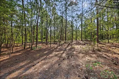 257 Rimrock Road, Gilbert, SC 29054 - Photo 8
