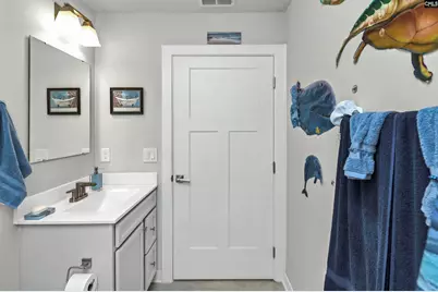 353 Switch Grass Court, Elgin, SC 29045 - Photo 6