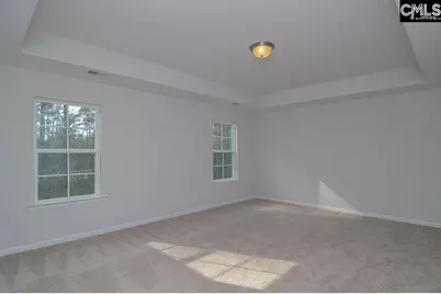 356 Hollow Cove Road, Chapin, SC 29036 - Photo 28