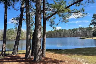 636 Marbled Teal Ln, Hopkins, SC 29061 - Photo 38