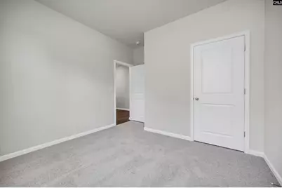 193 Ruby Prince Road, Gilbert, SC 29054 - Photo 28