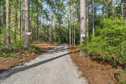 1656 West Drive, Cassatt, SC 29032 - Photo 44