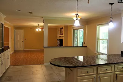 155 Pinewood Drive, Chapin, SC 29036 - Photo 6