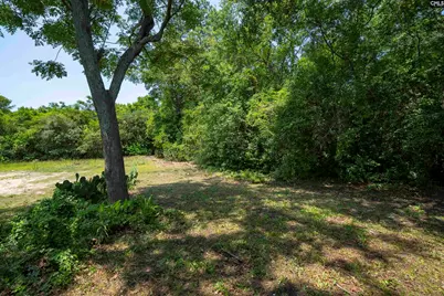 1931 Chaney Street, Columbia, SC 29204 - Photo 18