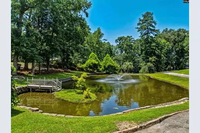 101 Brookgreen Drive, Lexington, SC 29072 - Photo 64