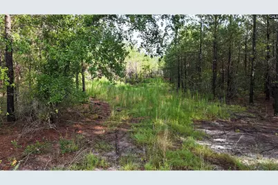 3091 Arcadia Road, Bethune, SC 29009 - Photo 6