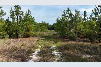 3091 Arcadia Road, Bethune, SC 29009 - Photo 2