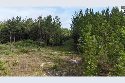 3091 Arcadia Road, Bethune, SC 29009 - Photo 4
