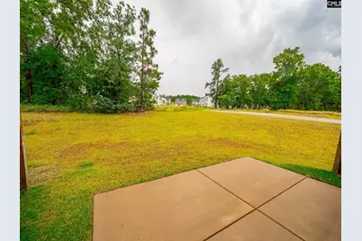 216 Flatsedge Court, Lexington, SC 29072 - Photo 18