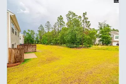 216 Flatsedge Court, Lexington, SC 29072 - Photo 20