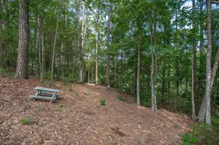 Harbor Point Dr, Jenkinsville, SC 29065 - Photo 16