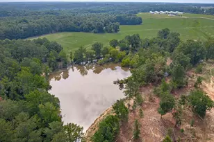 187 Peach Tree St, Ward, SC 29166 - Photo 6