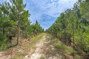 187 Peach Tree St, Ward, SC 29166 - Photo 28