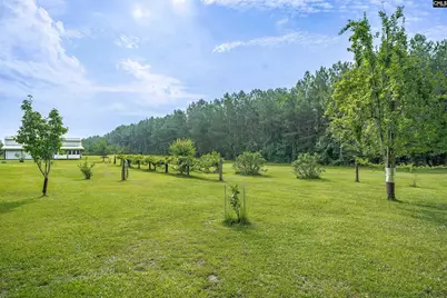 187 Peach Tree Street, Ward, SC 29166 - Photo 24
