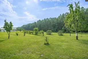 187 Peach Tree St, Ward, SC 29166 - Photo 24