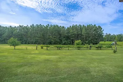 187 Peach Tree Street, Ward, SC 29166 - Photo 10