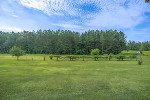 187 Peach Tree St, Ward, SC 29166 - Photo 10